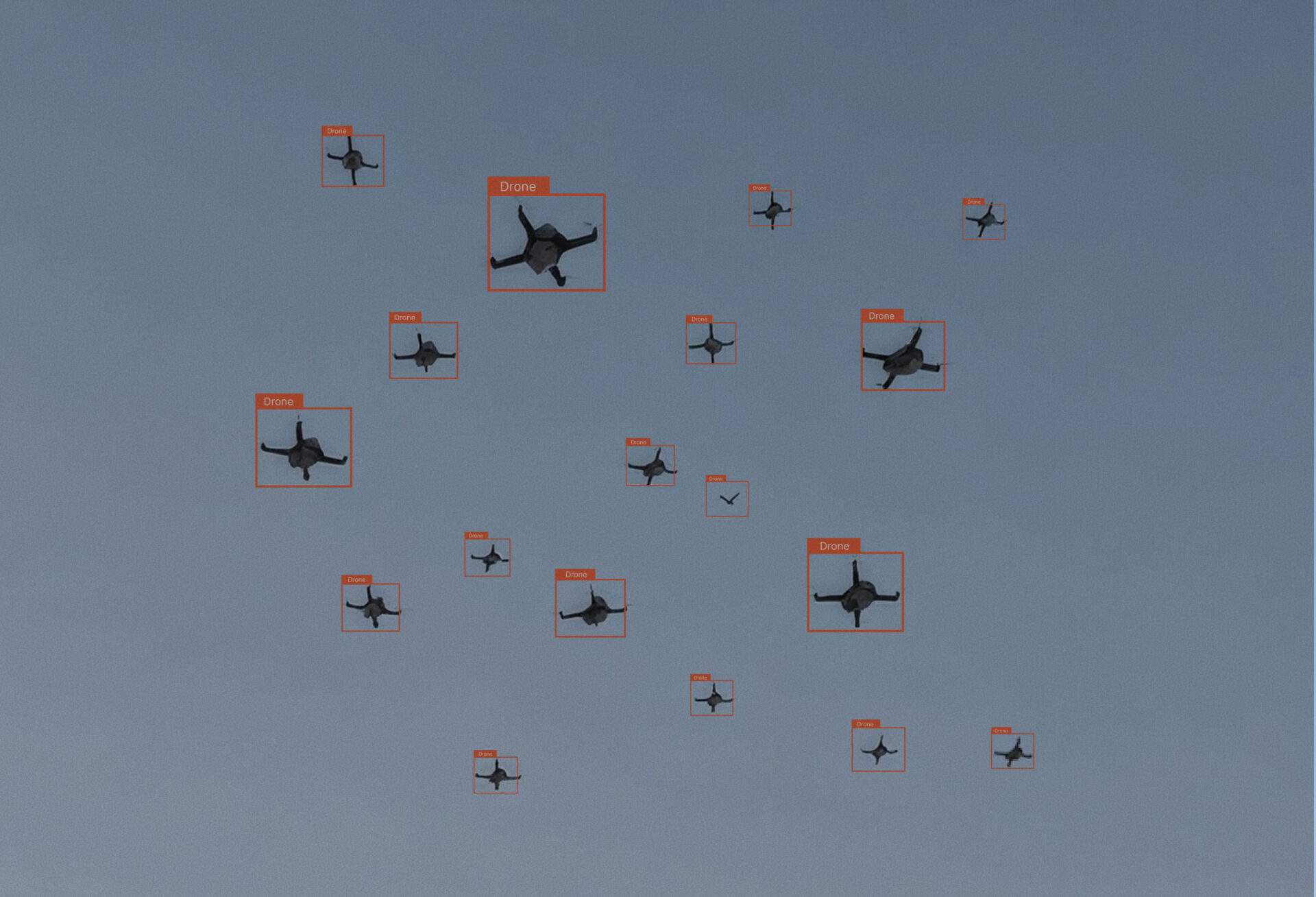 Object detection model bounding box incorrectly identifying a bird as a drone, illustrating a false positive in a defense computer vision system.